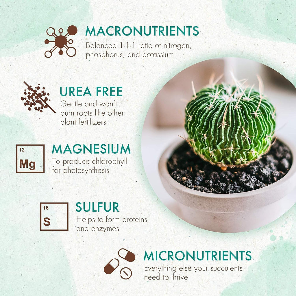 Succulent & Cactus Plant Food, Slow Release Fertilizer for Potted Plants, 5 oz C416610