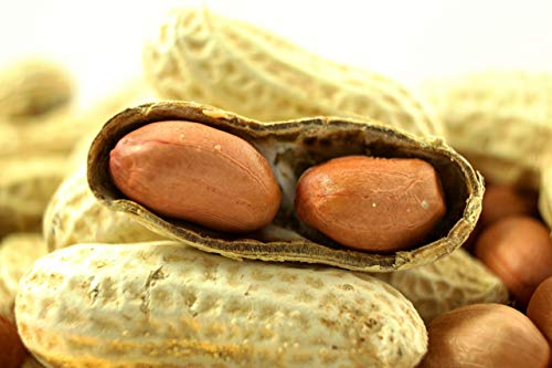 Extra Large Virginia Peanuts for Animals, 25 LBS E776730