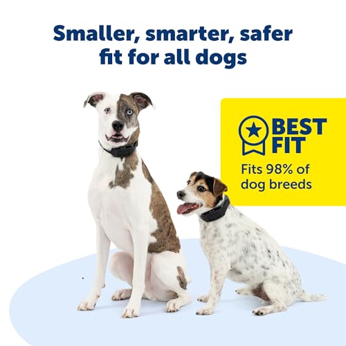 Wireless Dog Fence with GPS Tracking for All Breeds 10 lbs and Above H13868
