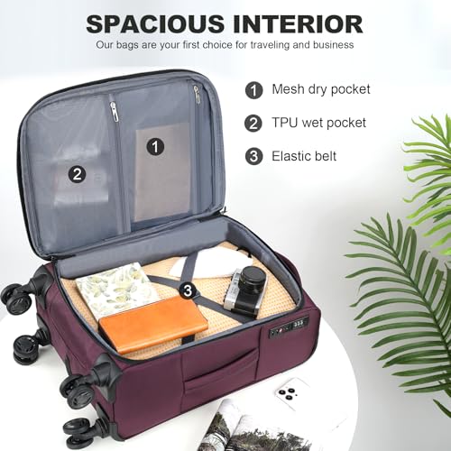 Softside Expandable Carry On Luggage with Spinner Wheels and TSA Lock B846