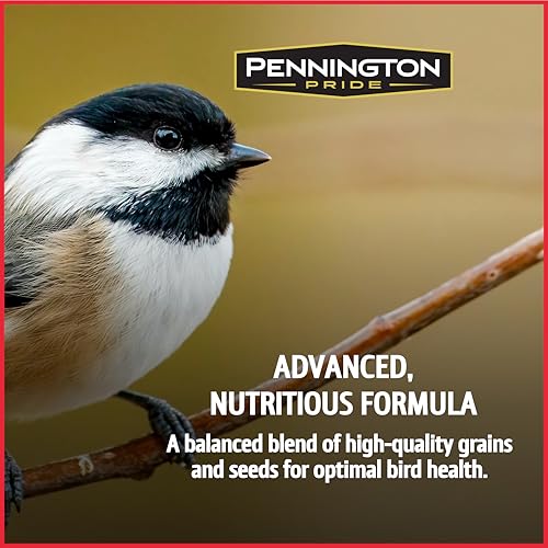 Wild Bird Seed for Outside Feeders, High-Protein, No-Hull, No-Waste, 15-lb Bag Q46704
