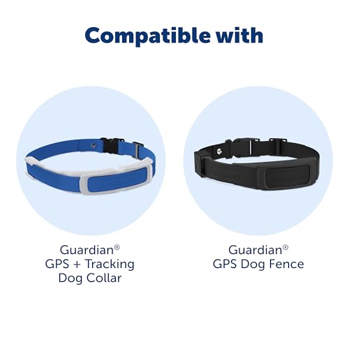 GPS Dog Fence for Yards 3/4 Acres or Larger with Wireless Collar P3787