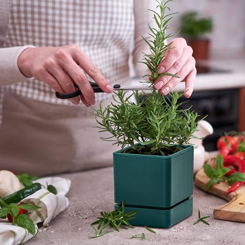 4 Inch Plastic Herb Planter Pot with Drainage Holes and Saucer, Set of 3, White E812718