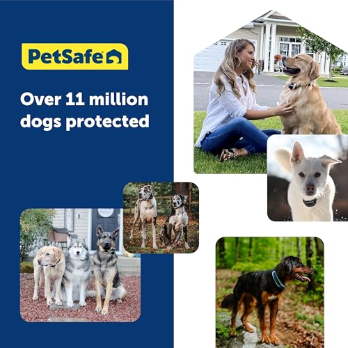 GPS Dog Fence for Yards 3/4 Acres or Larger with Wireless Collar P3787