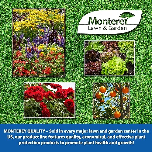 Spurge Power Herbicide, One Pint F2613