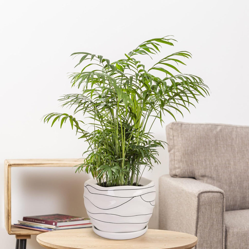White Ceramic Planter Set, 3 Sizes, Indoor and Outdoor Use X42488