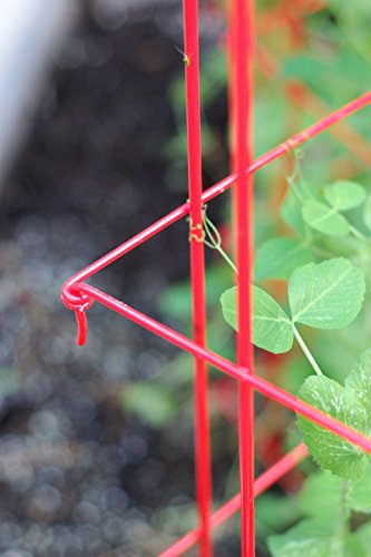Expandable Pea Trellis for Climbing Plants, Powder-Coated Steel, 9'3" L x 64" H O16059