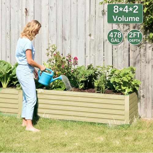 Galvanized Raised Garden Bed 8x4x2ft, Large Metal Planter Box for Outdoor Vegetables, Flowers & Herbs D2106