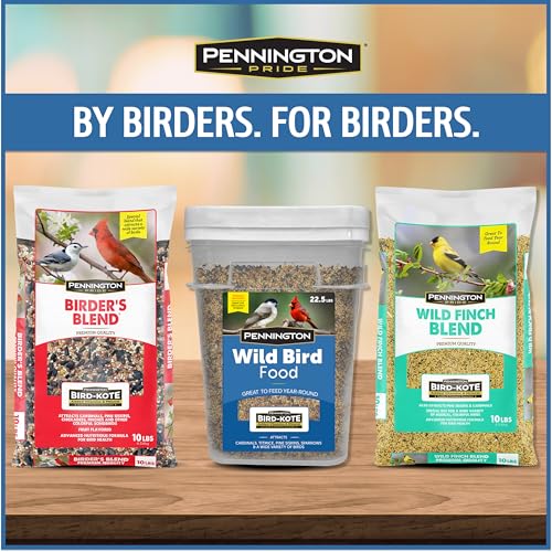 Wild Bird Seed for Outside Feeders, High-Protein, No-Hull, No-Waste, 15-lb Bag Q46704