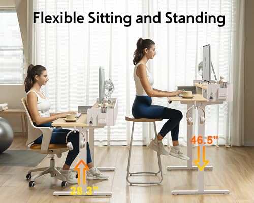 Electric Standing Desk with 2 Drawers, Height Adjustable for Home Office W495
