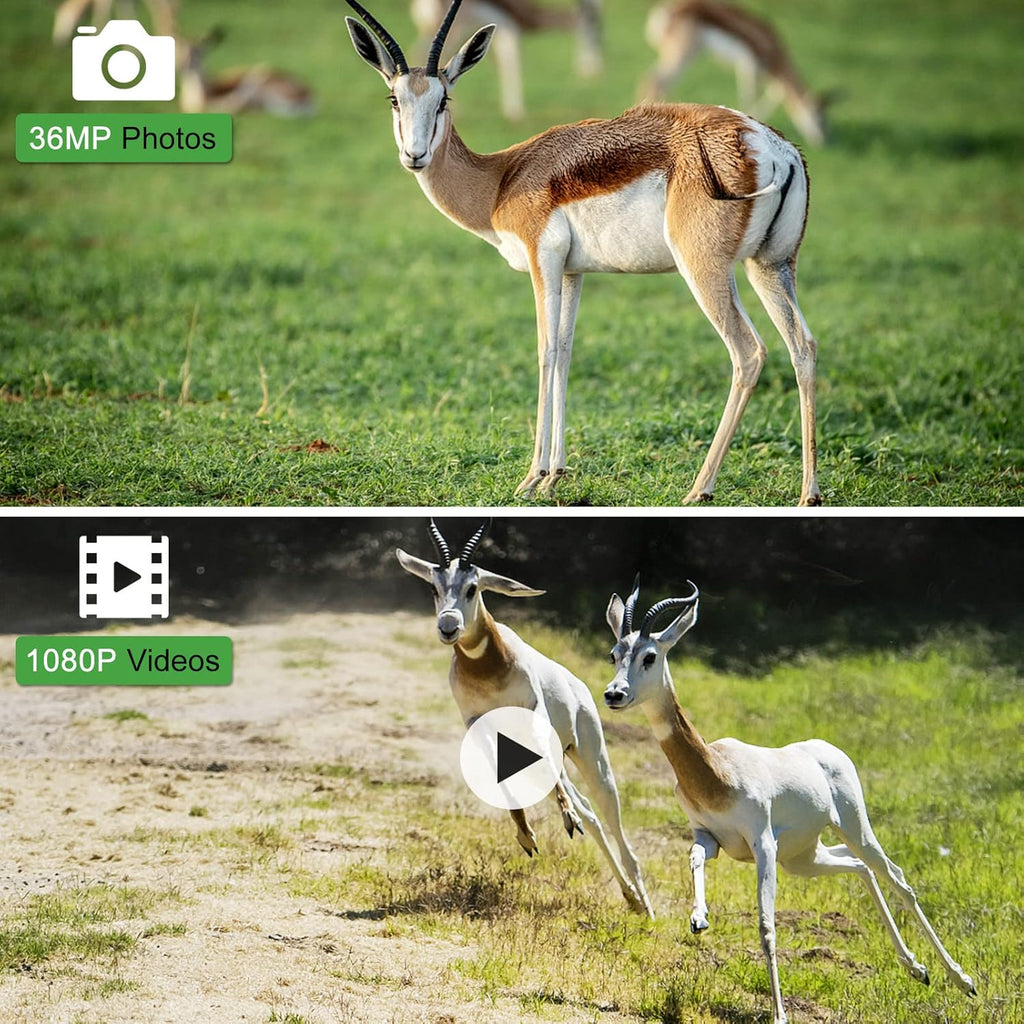 Trail and Game Camera with Night Vision and Motion Activation N1487