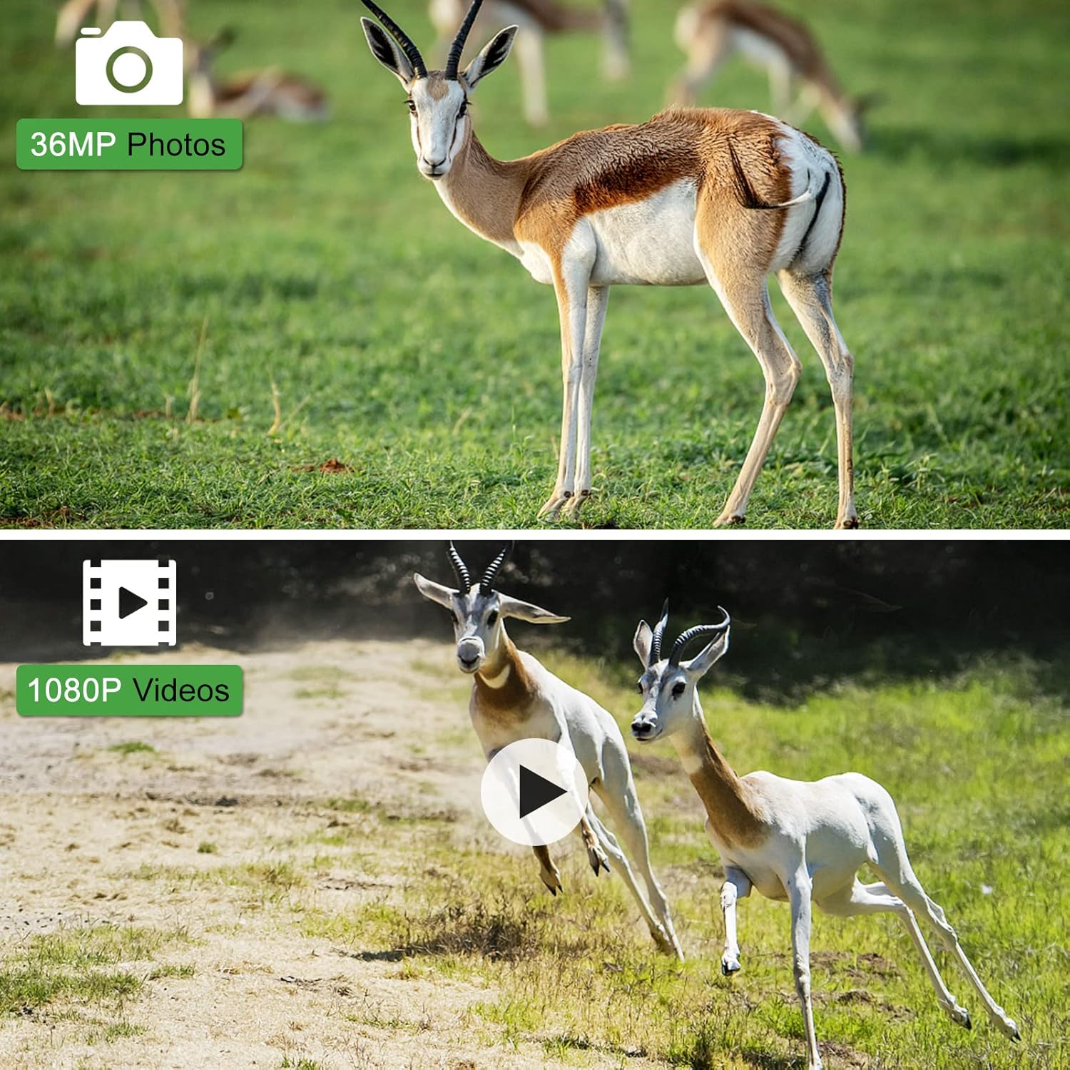 Trail and Game Camera with Night Vision and Motion Activation N1487