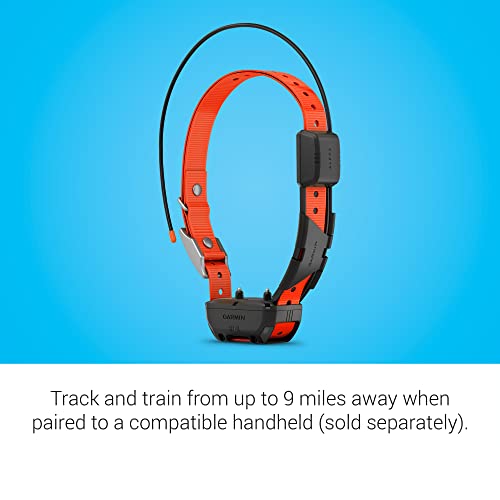 GPS Dog Tracking and Training Collar Y817