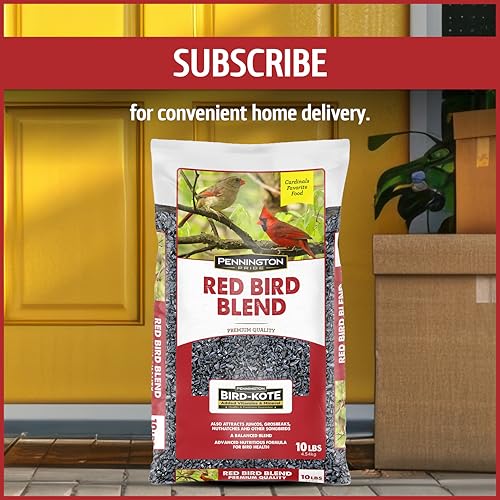 Wild Bird Seed for Outside Feeders, High-Protein, No-Hull, No-Waste, 15-lb Bag Q46704