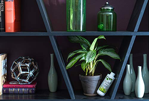 Indoor Plant Food Liquid Fertilizer for Potted Houseplants T478040