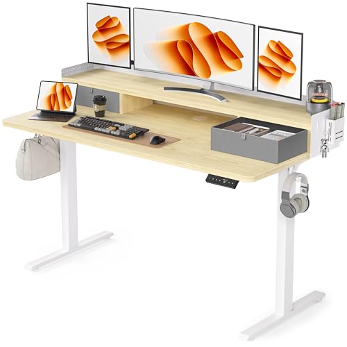 Electric Standing Desk with 2 Drawers, Height Adjustable for Home Office W495