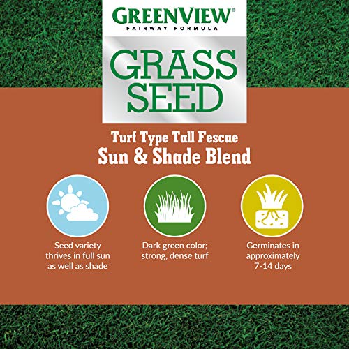 Tall Fescue Grass Seed Sun & Shade Blend H9638