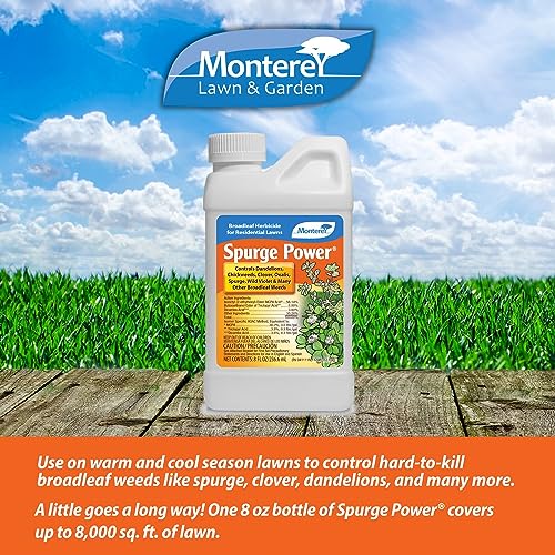 Spurge Power Herbicide, One Pint F2613