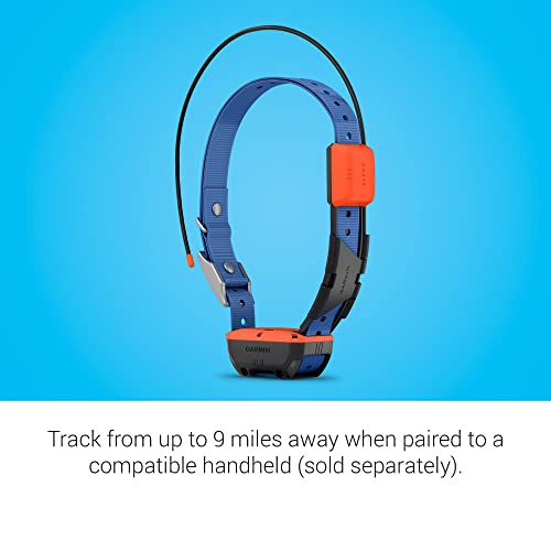 GPS Dog Tracking and Training Collar Y817