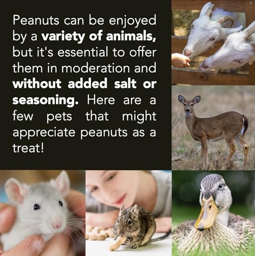Raw Peanuts for Wildlife, 12 LB Pail X368