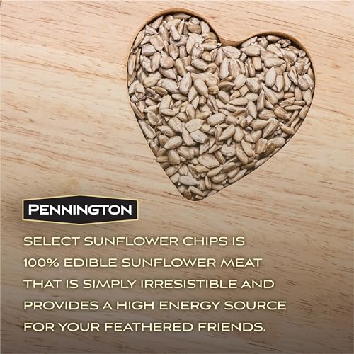 Wild Bird Seed for Outside Feeders, High-Protein, No-Hull, No-Waste, 15-lb Bag Q46704