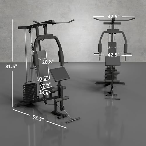 Home Gym System with 99Lbs Weight Stack for Full Body Exercise R401