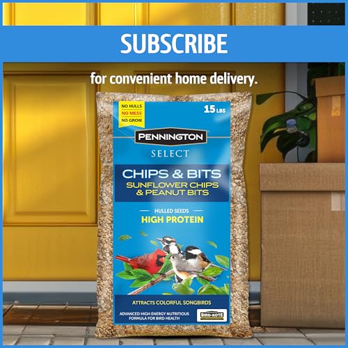 Wild Bird Seed for Outside Feeders, High-Protein, No-Hull, No-Waste, 15-lb Bag Q46704