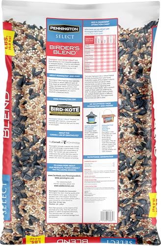 Wild Bird Seed for Outside Feeders, High-Protein, No-Hull, No-Waste, 15-lb Bag Q46704