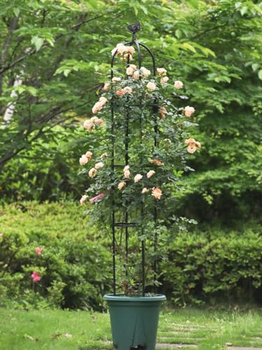 Garden Trellis for Climbing Plants, Rustproof Metal, White E4572