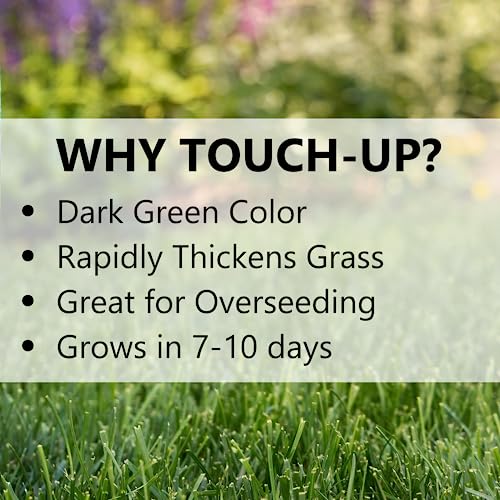Perennial Ryegrass Grass Seed for Cool Season Lawns, 3 lb Q56345