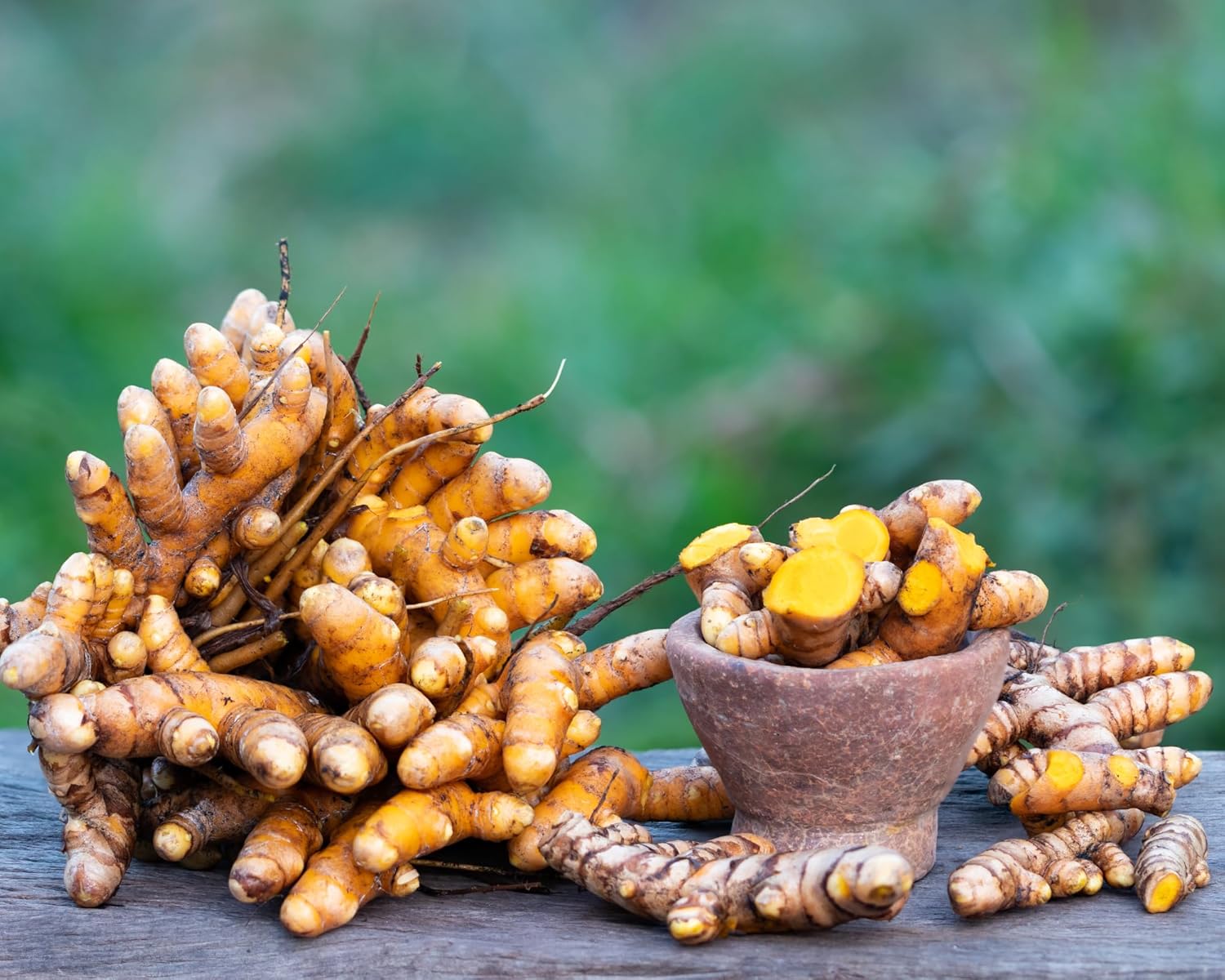Fresh Turmeric Roots for Planting, 1 lb Raw Rhizomes Q92789
