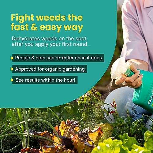 Grass & Weed Killer Spray, 32oz, 2 Pack G555