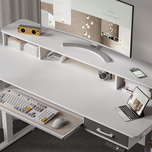 Electric Standing Desk with 2 Drawers, Height Adjustable for Home Office W495