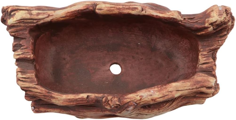 Wood Stump Planter with Drainage Hole for Succulents R5563