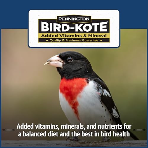 Wild Bird Seed for Outside Feeders, High-Protein, No-Hull, No-Waste, 15-lb Bag Q46704