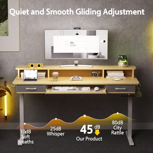 Electric Standing Desk with 2 Drawers, Height Adjustable for Home Office W495
