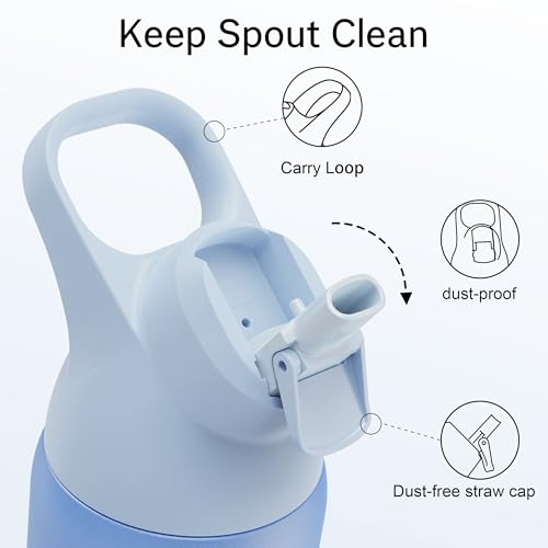 Insulated Water Bottle with Straw, 24 oz, Leakproof, BPA-Free B201134