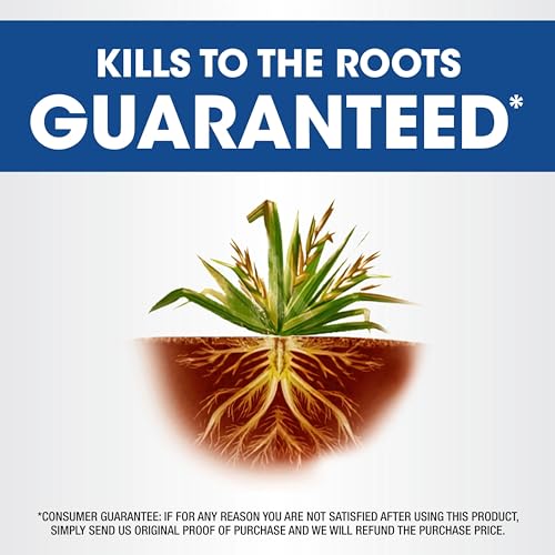 Weed & Grass Killer Concentrate, 0.5 gal U129436