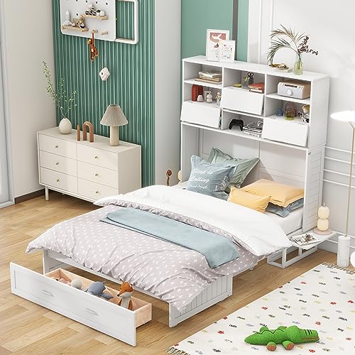 Queen Size Murphy Bed with Cabinet and LED Lights M1232