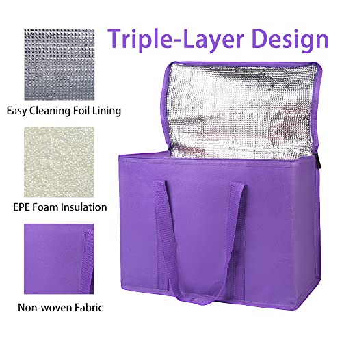 Insulated Food Delivery Bag Hot Cold Meal Carrier F1699