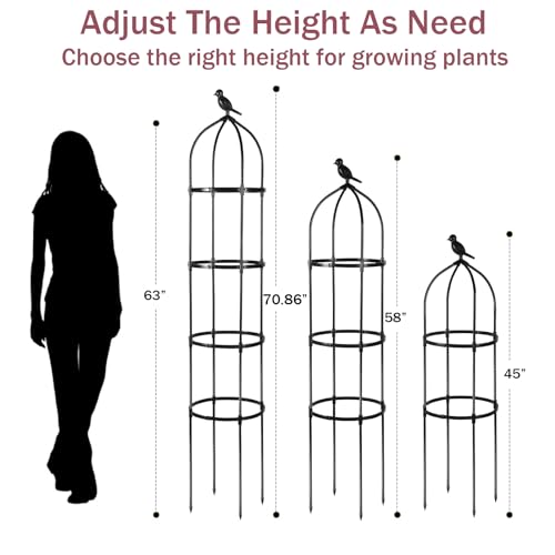 Round Trellis for Climbing Plants, Rustproof, 6ft T4962