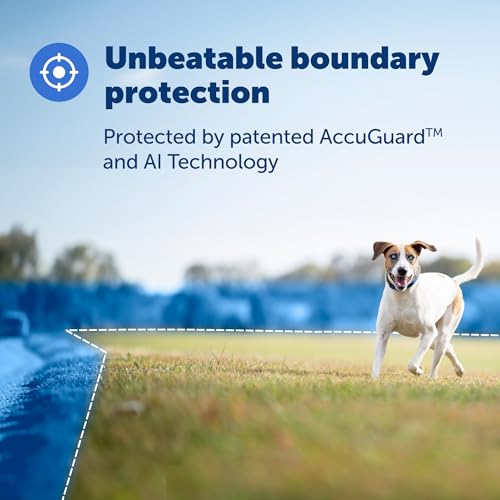 GPS Dog Fence Collar with App Tracking, Waterproof Rechargeable T221556