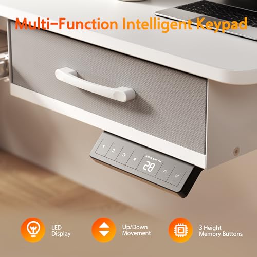 Electric Standing Desk with 2 Drawers, Height Adjustable for Home Office W495