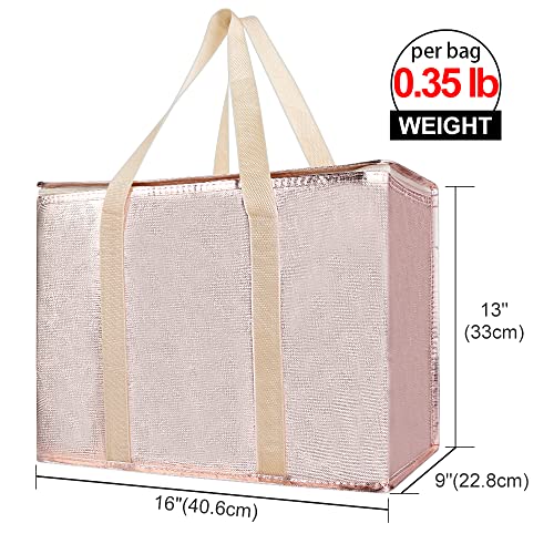 Insulated Food Delivery Bag Hot Cold Meal Carrier F1699