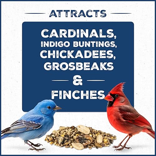 Wild Bird Seed for Outside Feeders, High-Protein, No-Hull, No-Waste, 15-lb Bag Q46704