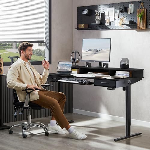 Electric Standing Desk with 2 Drawers, Height Adjustable for Home Office W495