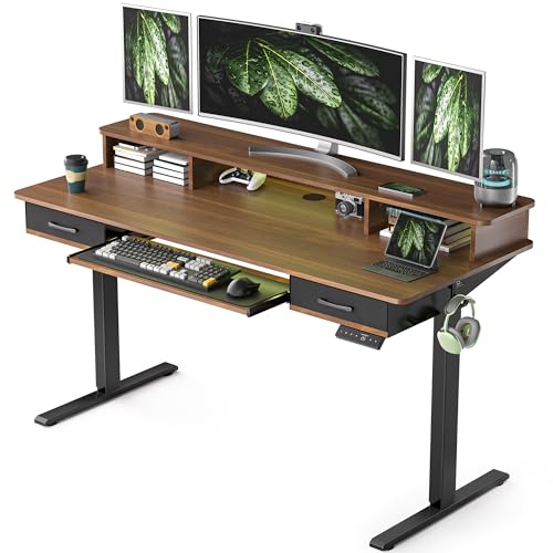 Electric Standing Desk with 2 Drawers, Height Adjustable for Home Office W495