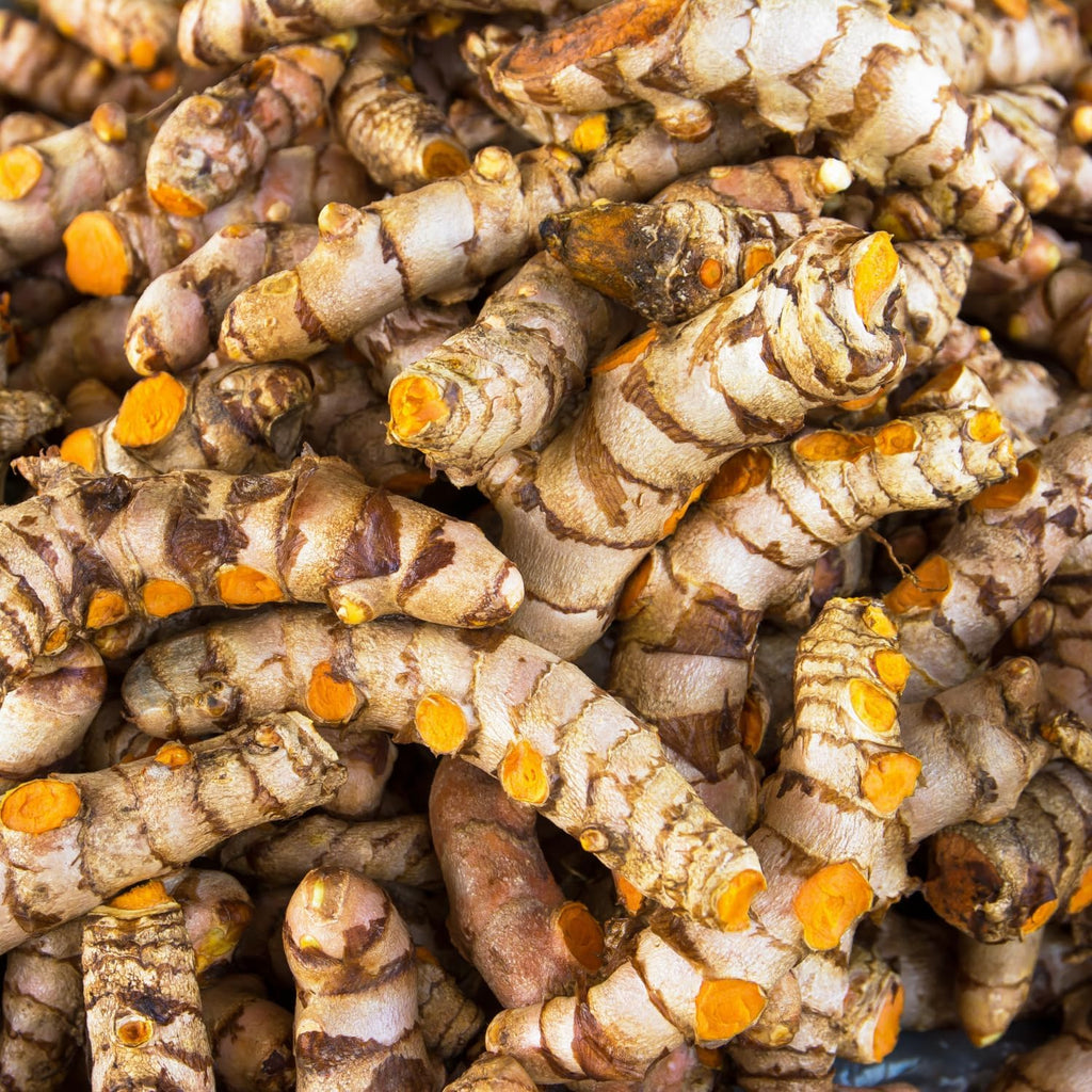 Fresh Turmeric Roots for Planting, Raw Yellow Turmeric Rhizomes J490