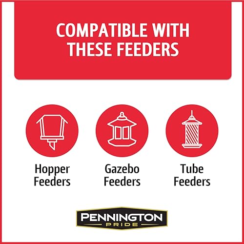 Wild Bird Seed for Outside Feeders, High-Protein, No-Hull, No-Waste, 15-lb Bag Q46704