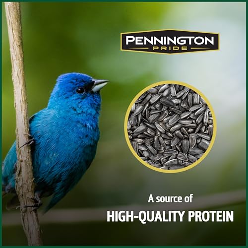 Wild Bird Seed for Outside Feeders, High-Protein, No-Hull, No-Waste, 15-lb Bag Q46704